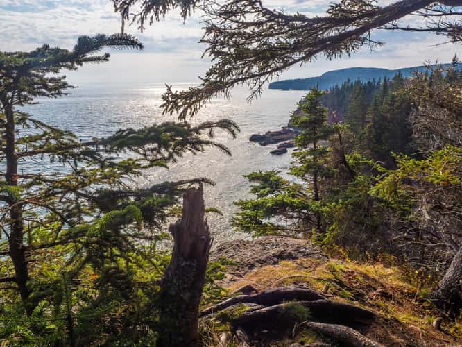 Quaco Head Hiking Trail