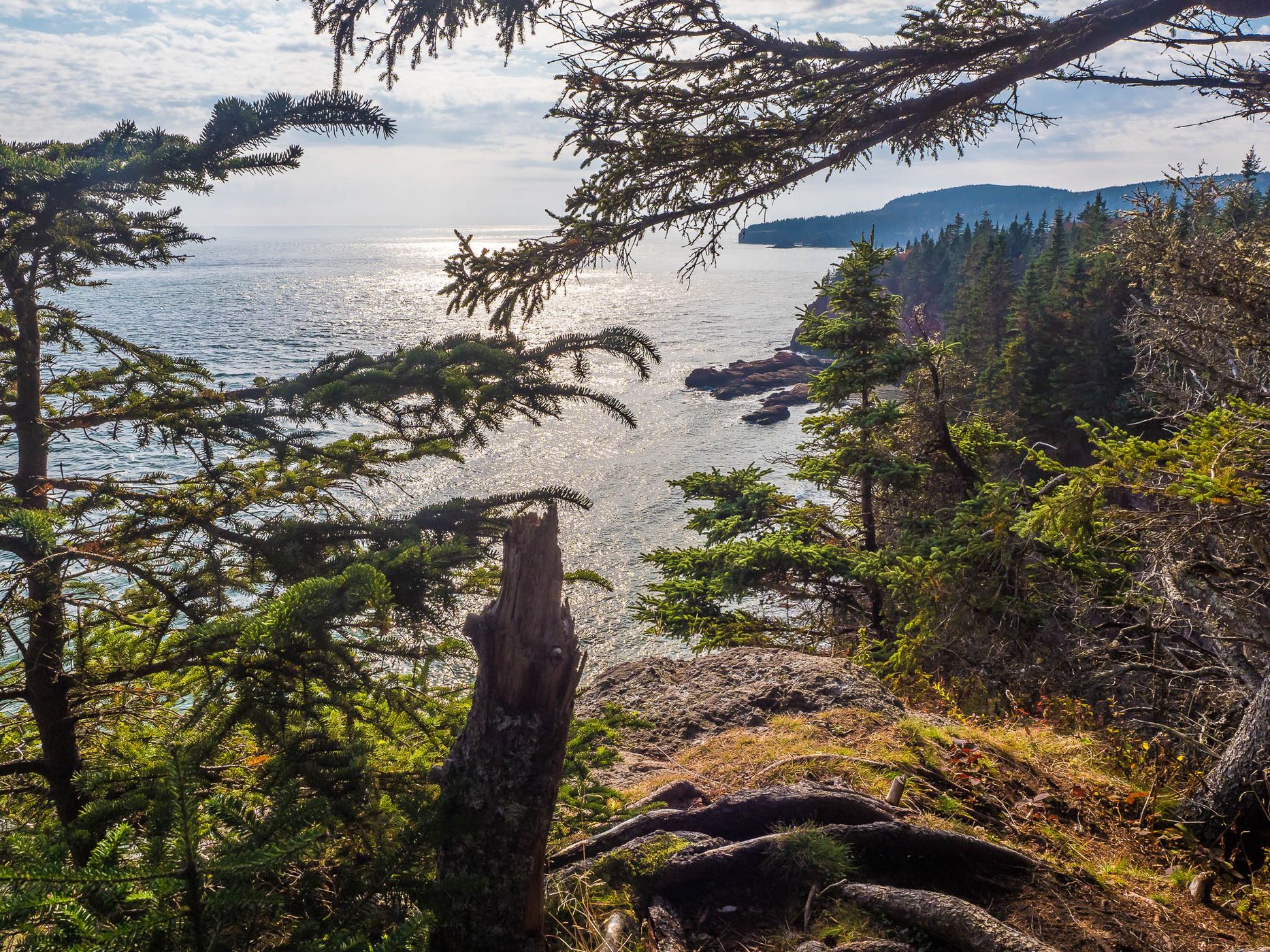 Quaco Head Hiking Trail, Canada