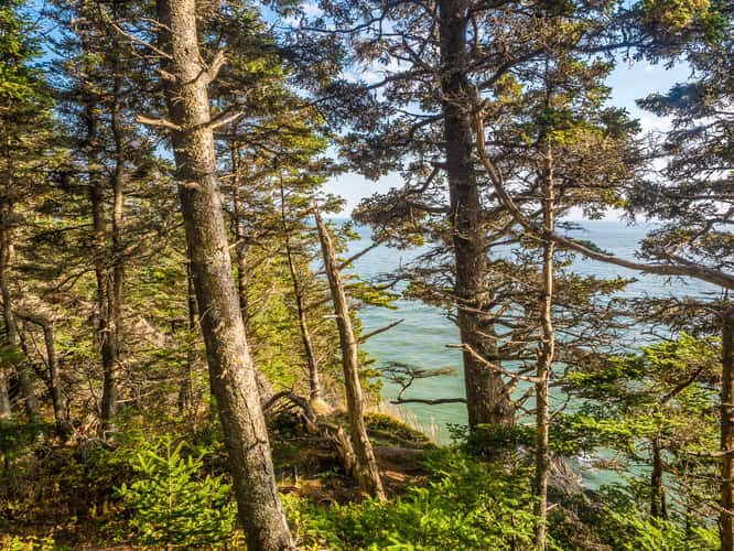 Quaco Head Hiking Trail