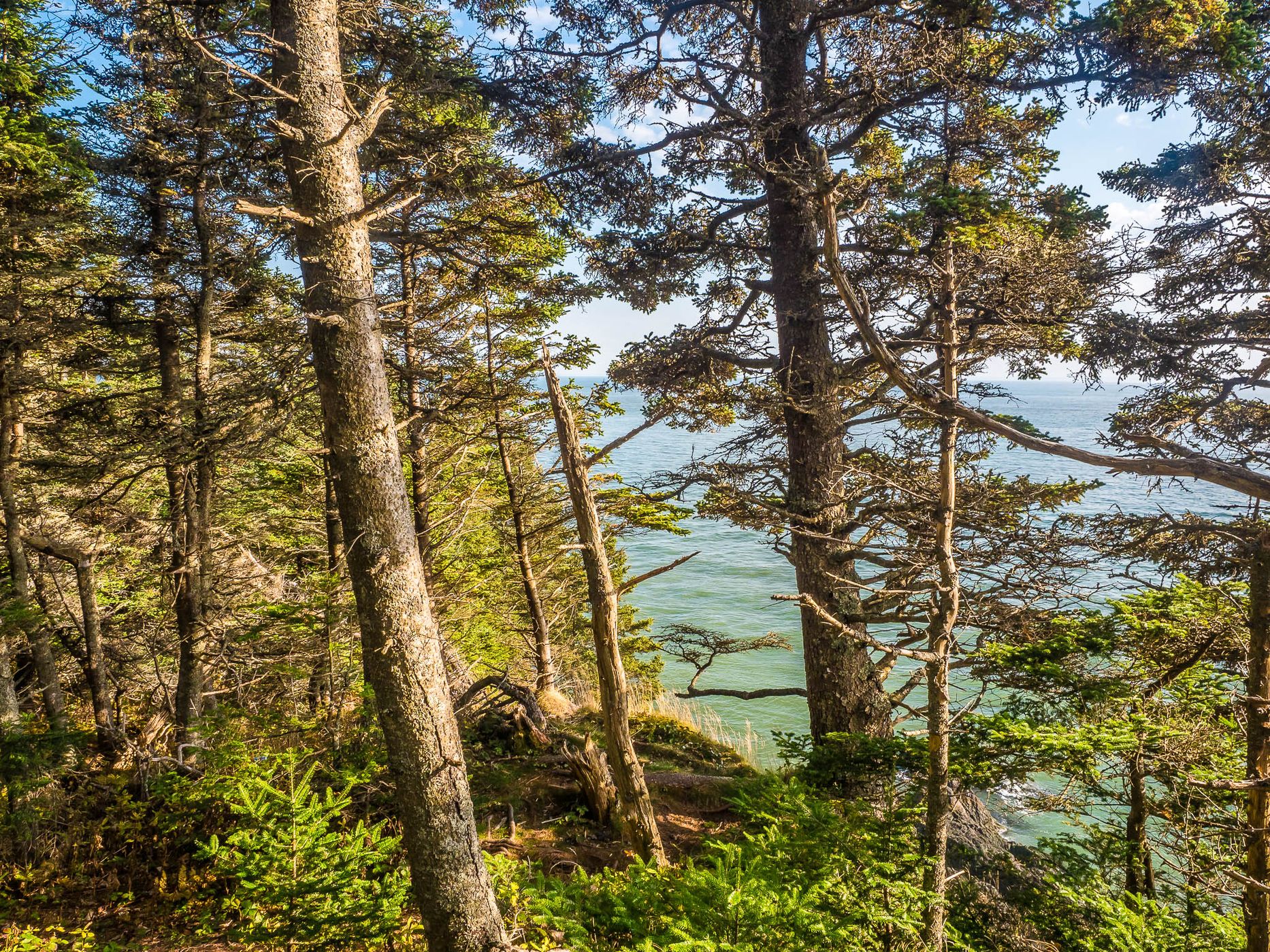 Quaco Head Hiking Trail, Canada