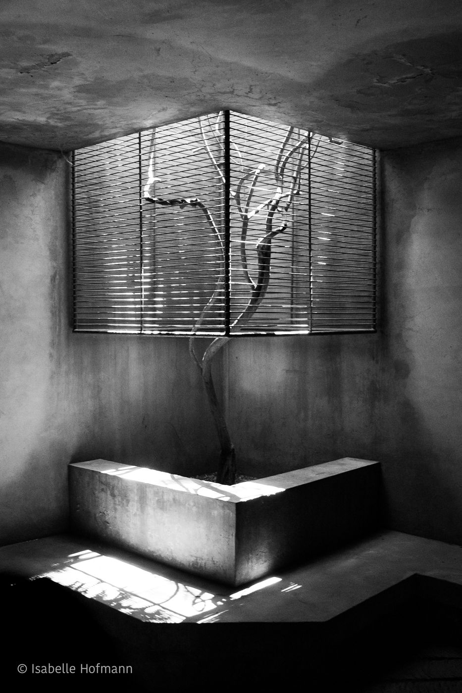 Red Brick Art Museum, China
