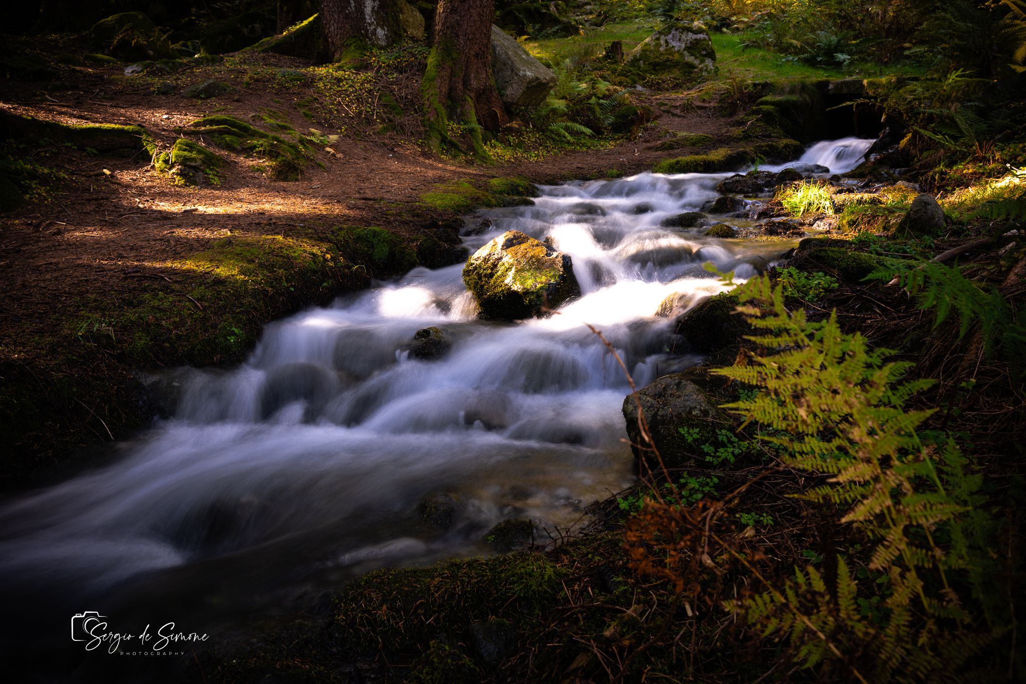 River in Antrona Valley, Italy