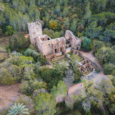 Ruïnes del Monestir de Santa Maria de la Murta (drone), Spain