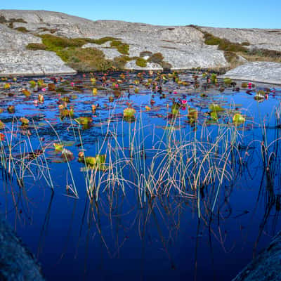 Sandon Nature Reserve, Sweden