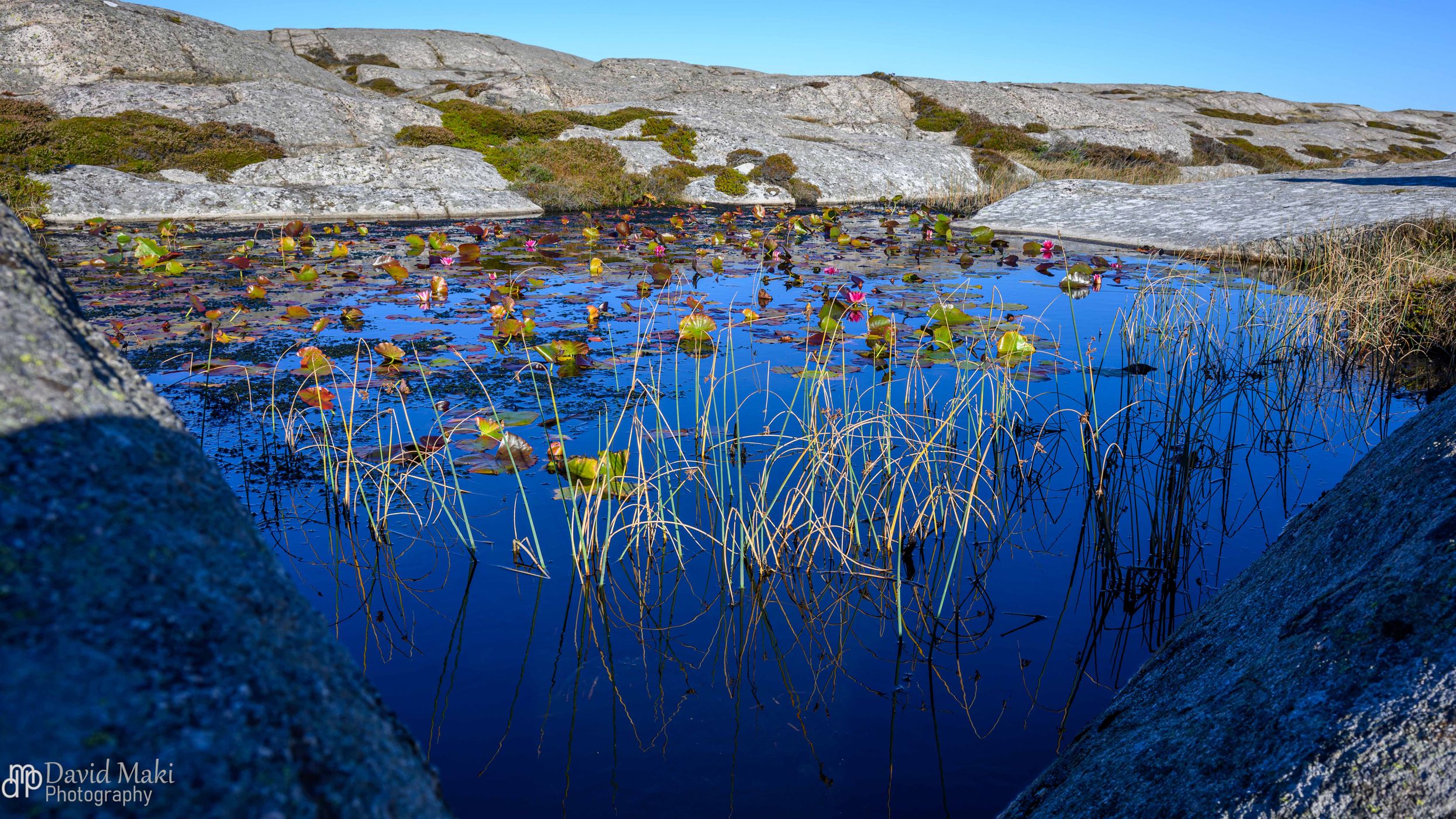 Sandon Nature Reserve, Sweden