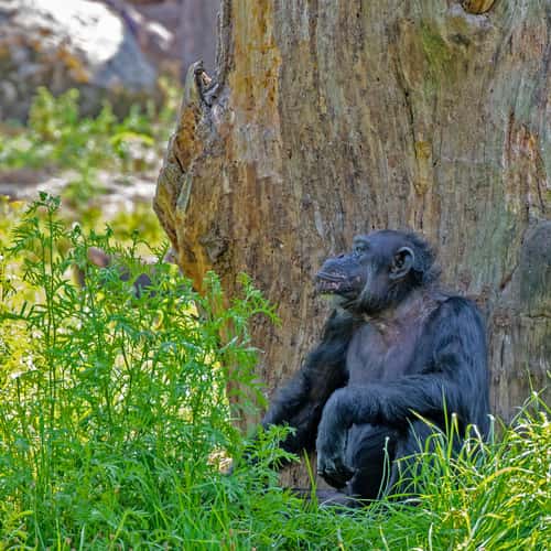 Serengeti Park Hodenhagen