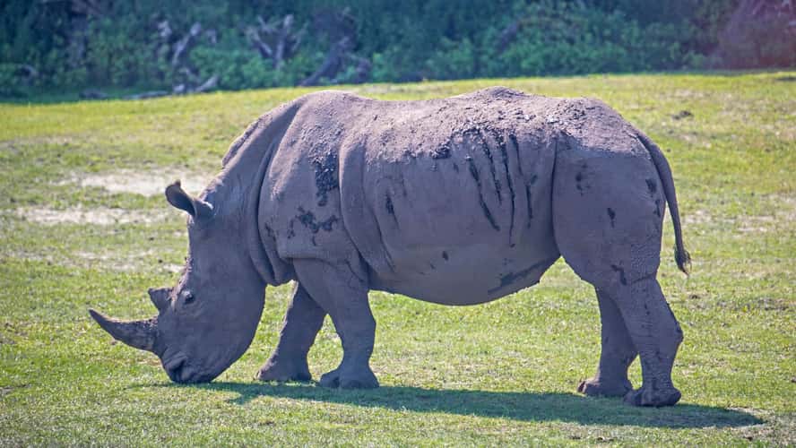 Serengeti Park Hodenhagen