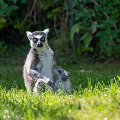 Serengeti Park Hodenhagen