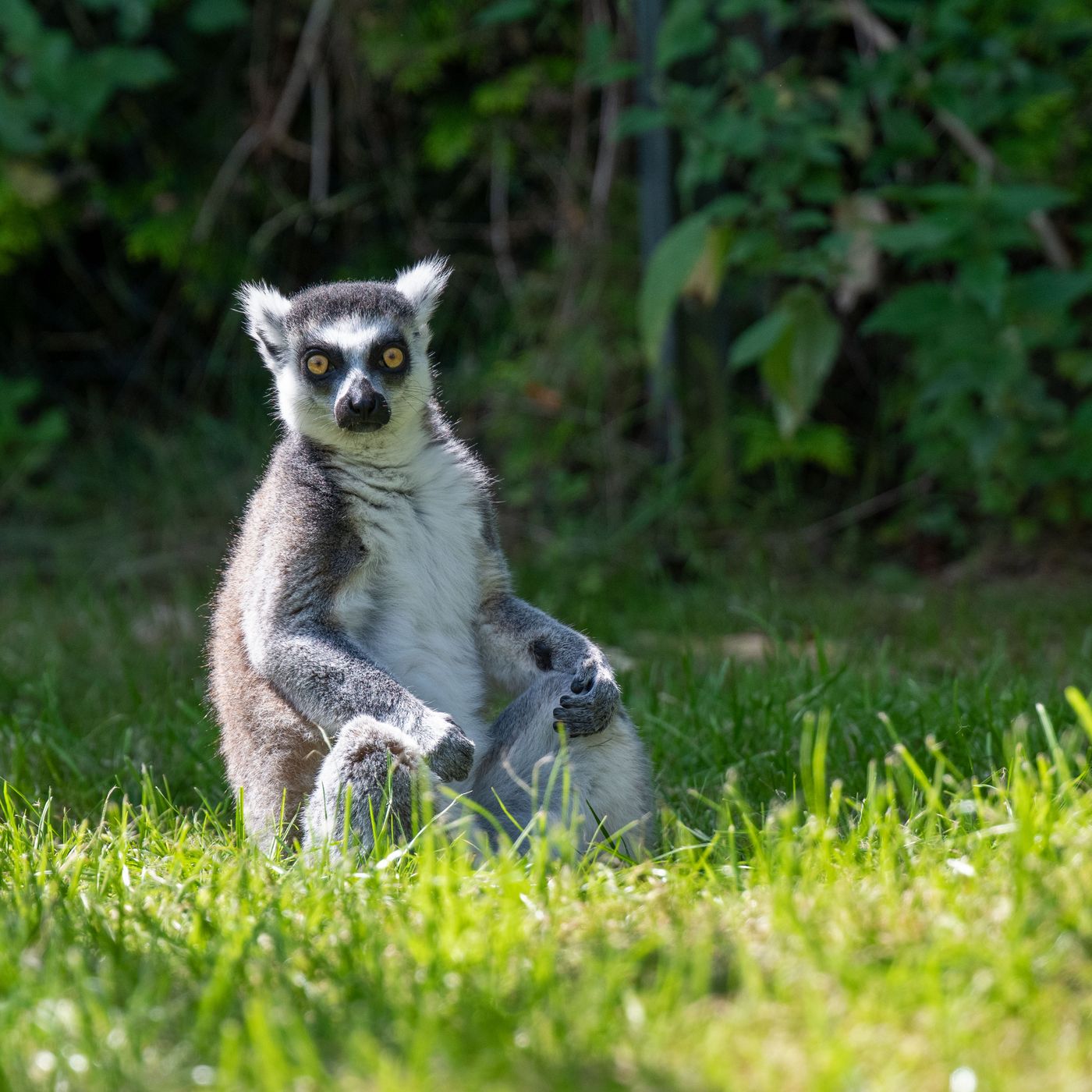 Serengeti Park Hodenhagen, Germany