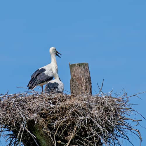 Serengeti Park Hodenhagen