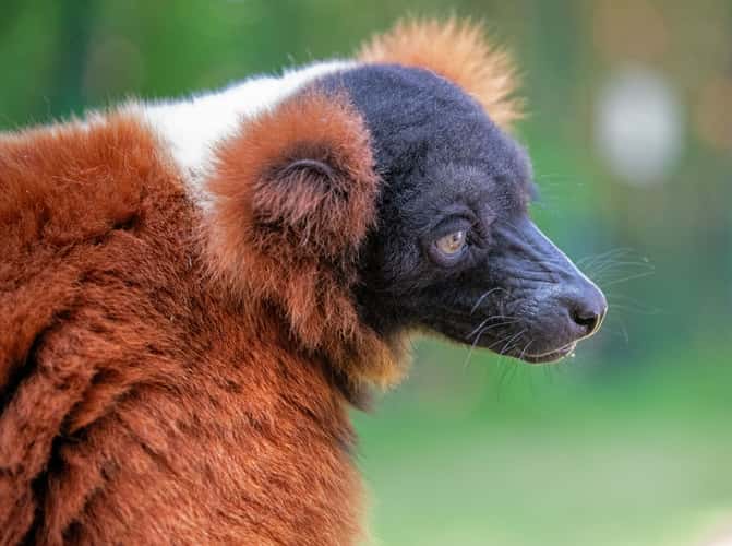 Serengeti Park Hodenhagen