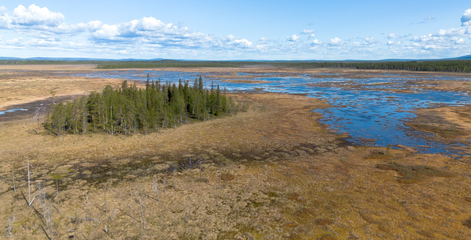 Sokanaapa mire, Finland