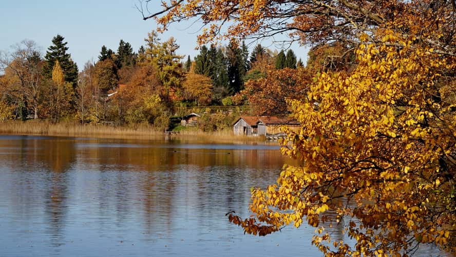 Staffelsee