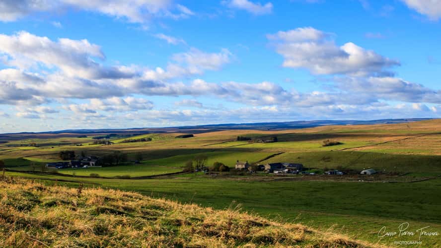 Steel Rigg