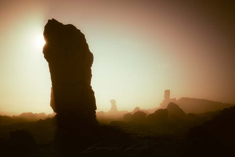 Stone Forest