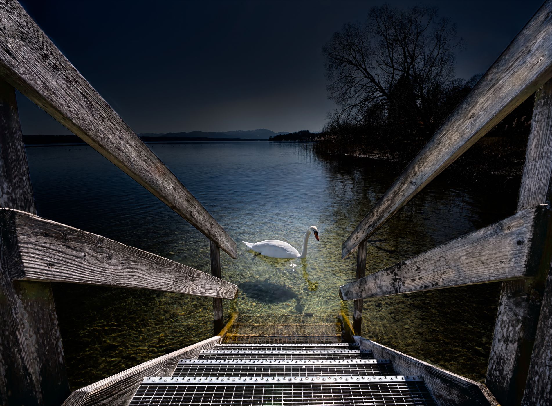 Swan lake, Germany