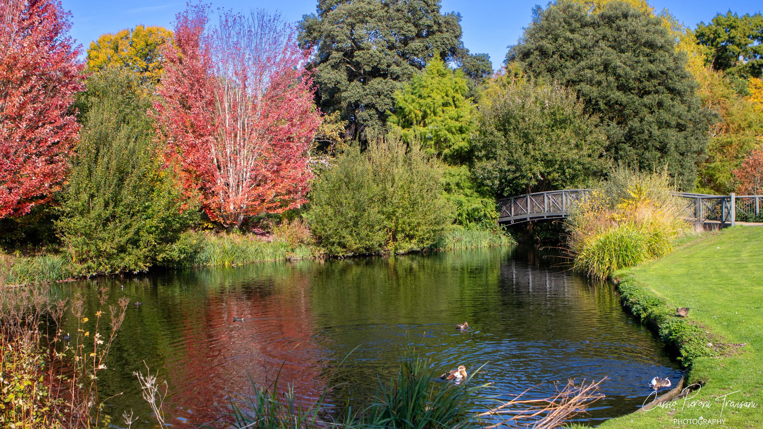 Syon House and Gardens, United Kingdom