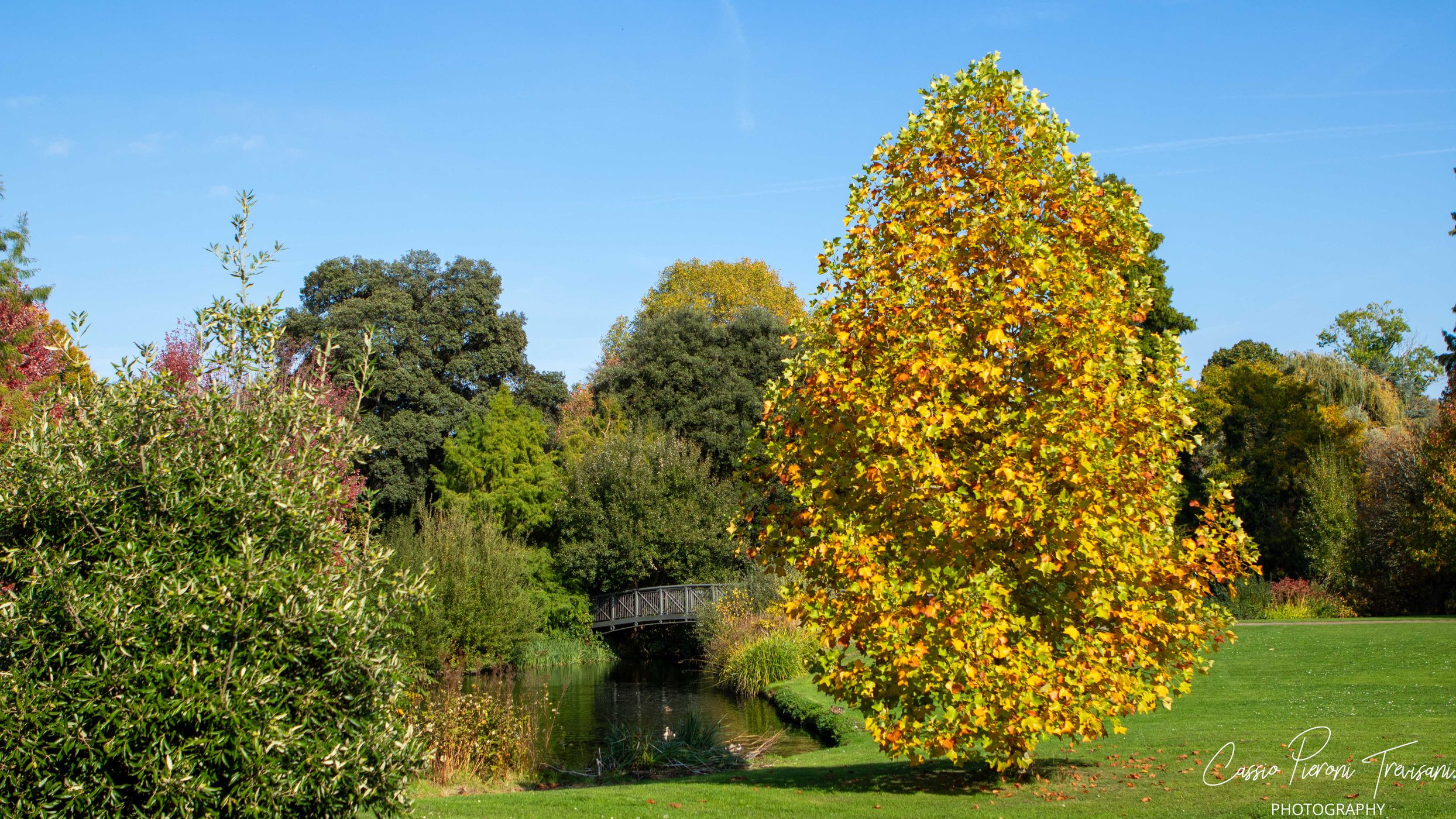 Syon House and Gardens, United Kingdom
