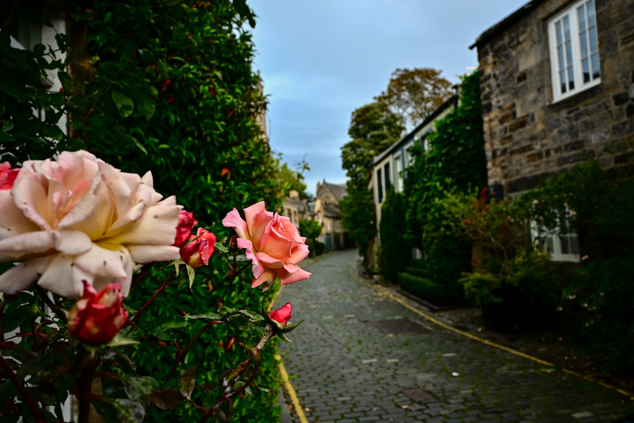 The lovely Circus lane, Edinburgh, United Kingdom