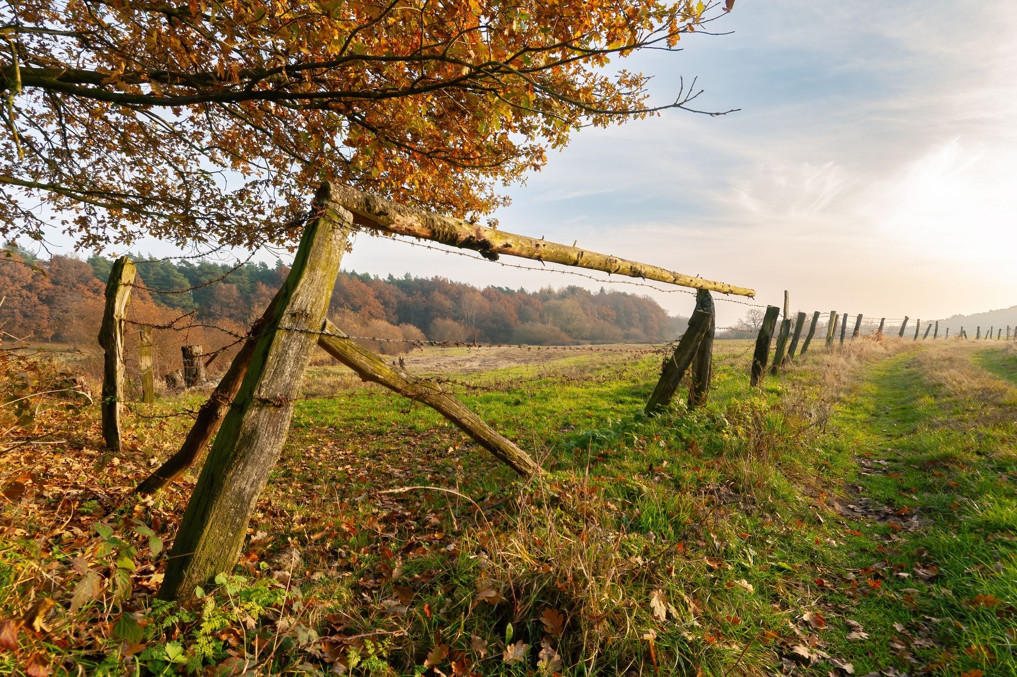 The Oste River near Rockstedt, Germany