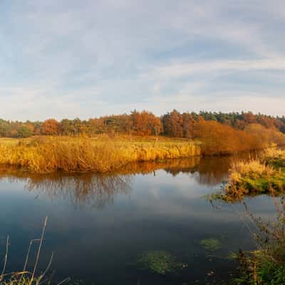 The Oste River near Rockstedt, Germany
