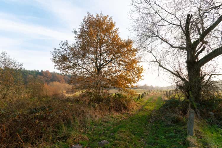 The Oste River near Rockstedt