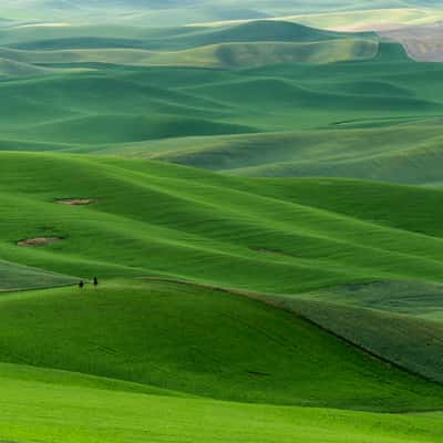 The Palouse, USA