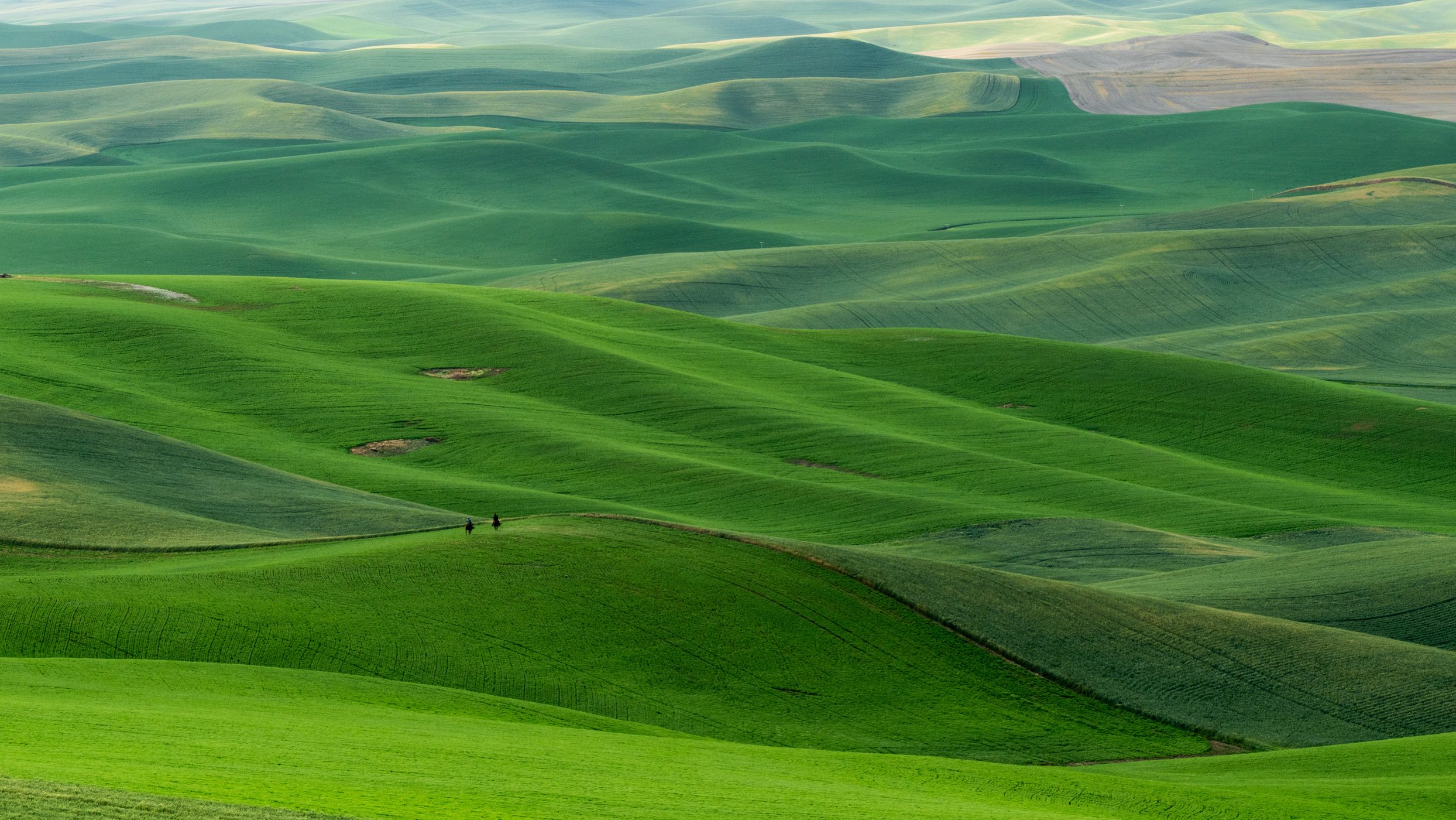The Palouse, USA
