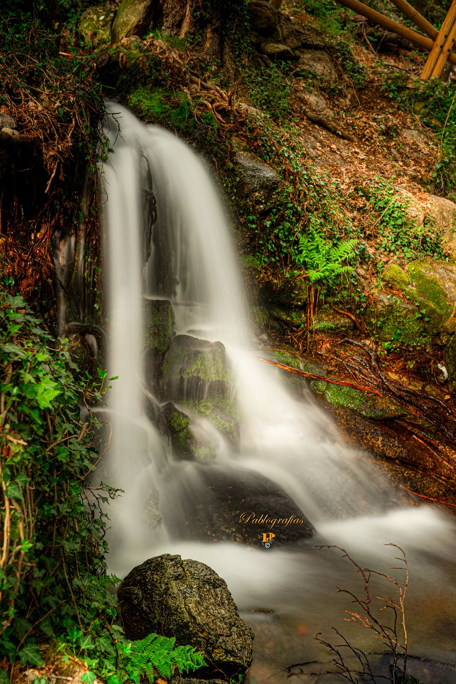 Valle del Jerte, Spain