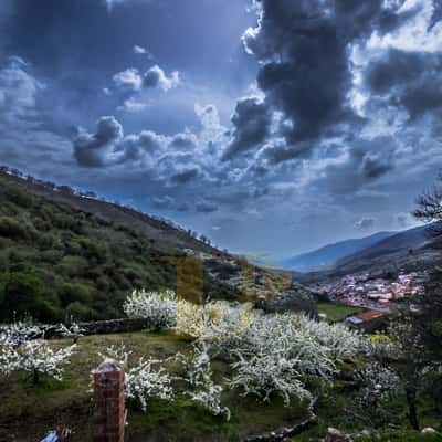 valle del jerte, Spain