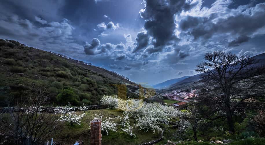 valle del jerte