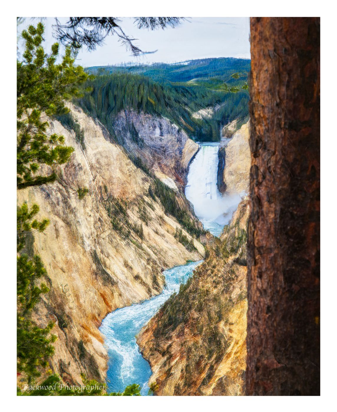 View of the Lower Falls, Yellowstone National Park, USA