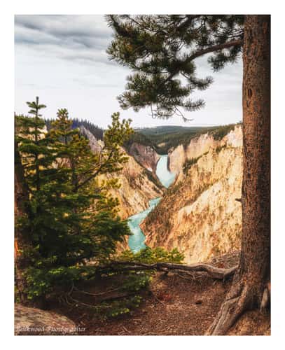 View of the Lower Falls, Yellowstone National Park
