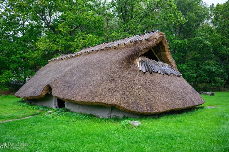 Vitlycke Museum