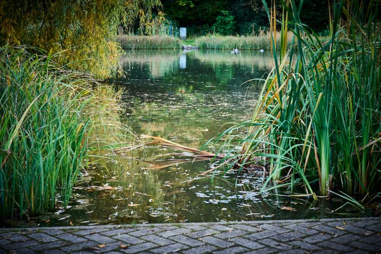 Waldbronn Kurpark