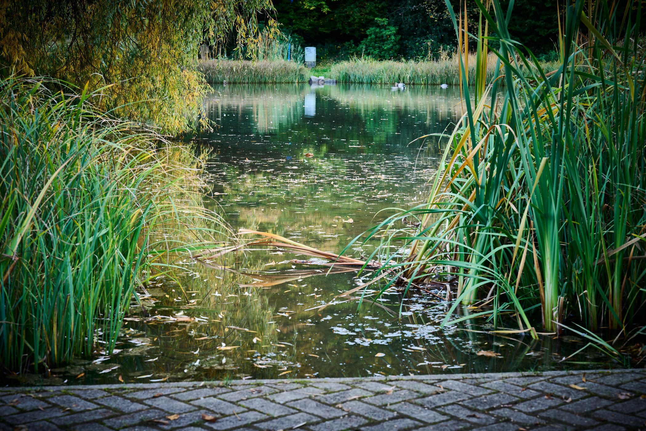 Waldbronn Kurpark, Germany