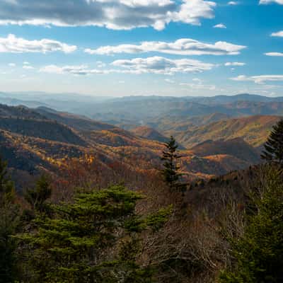 Waterrock Knob, USA