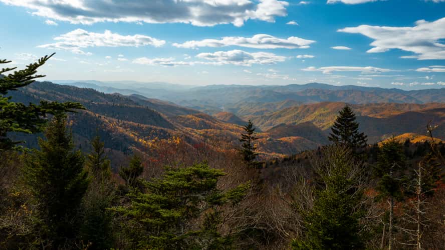 Waterrock Knob
