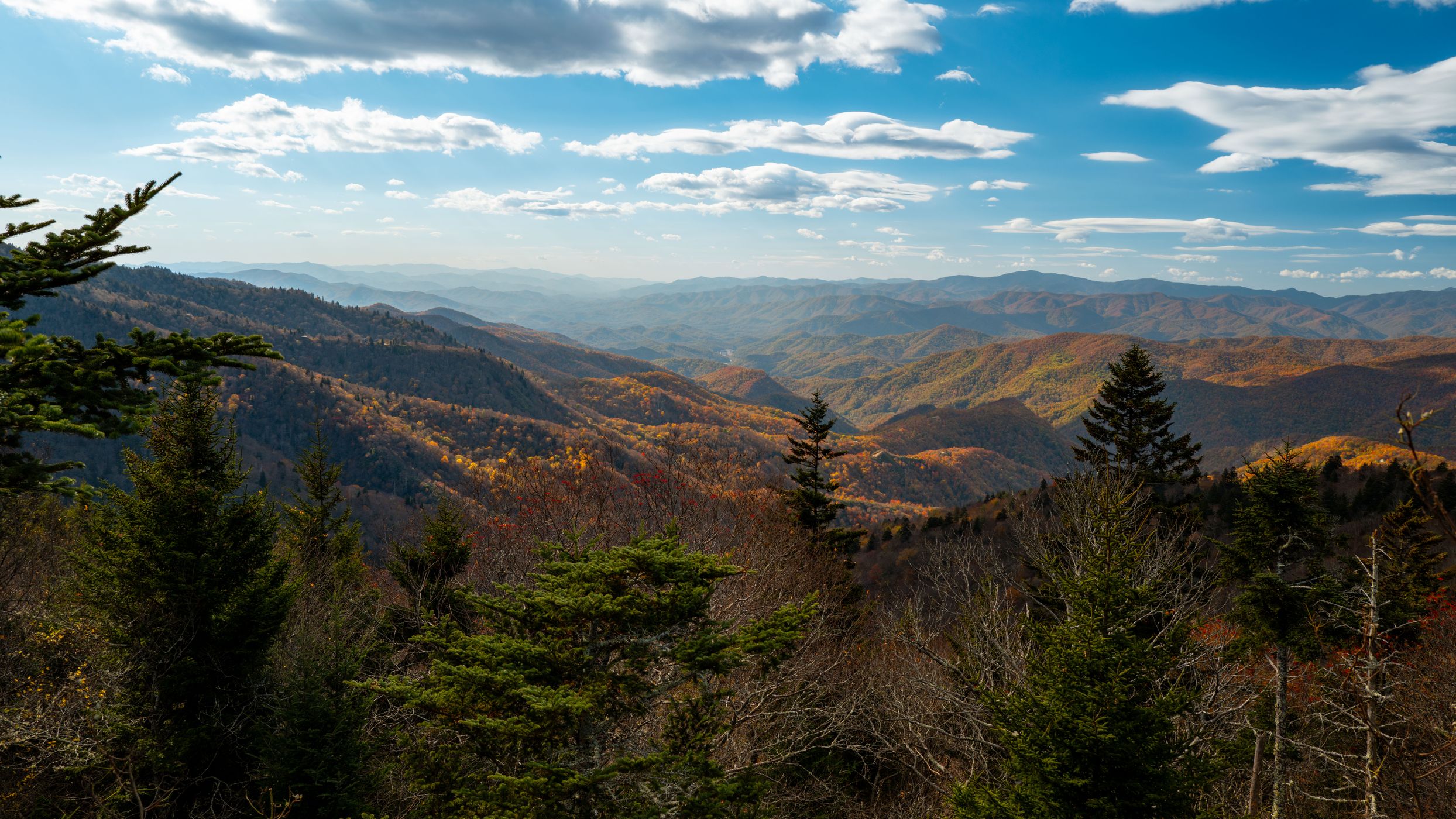 Waterrock Knob, USA