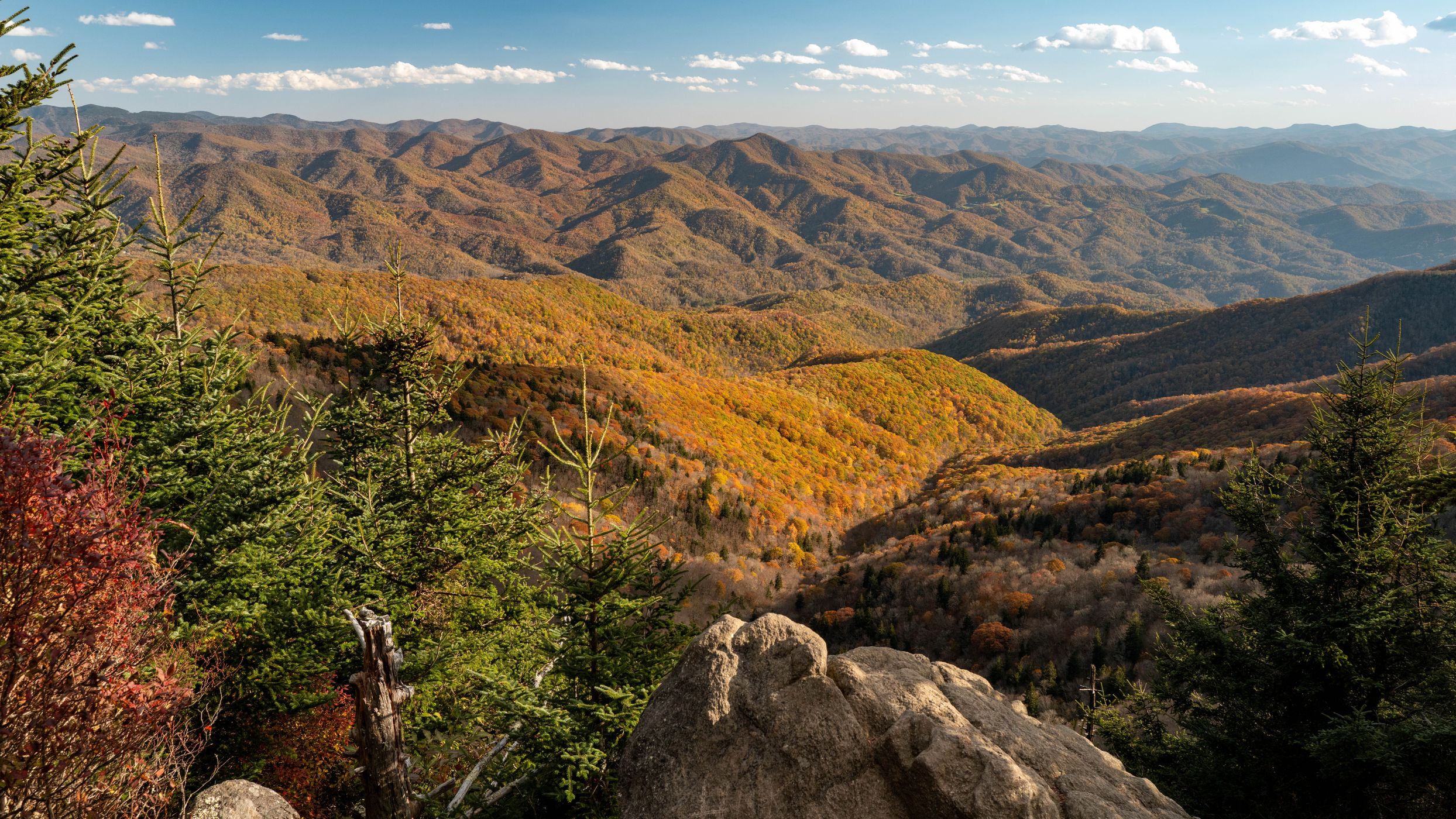 Waterrock Knob, USA