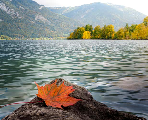 Wolfgangsee Lakeview