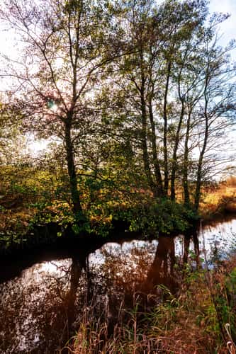The Wümme near Lauenbrück, Niedersachsen (Lower Saxony), Germany