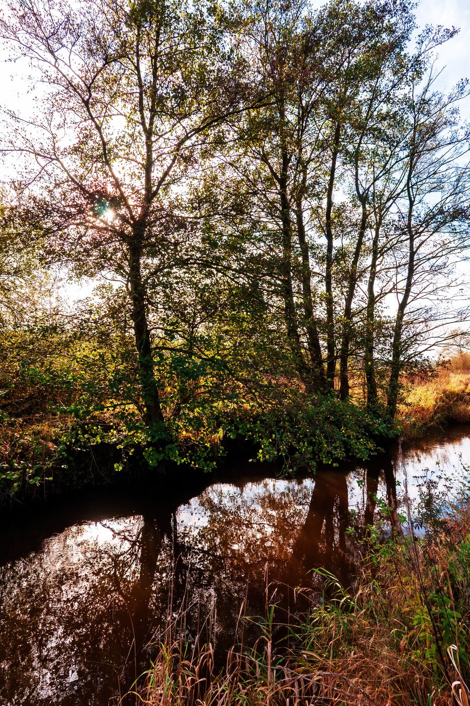 The Wümme near Lauenbrück, Niedersachsen (Lower Saxony), Germany, Germany