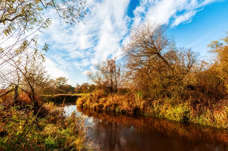 The Wümme near Lauenbrück, Niedersachsen (Lower Saxony), Germany