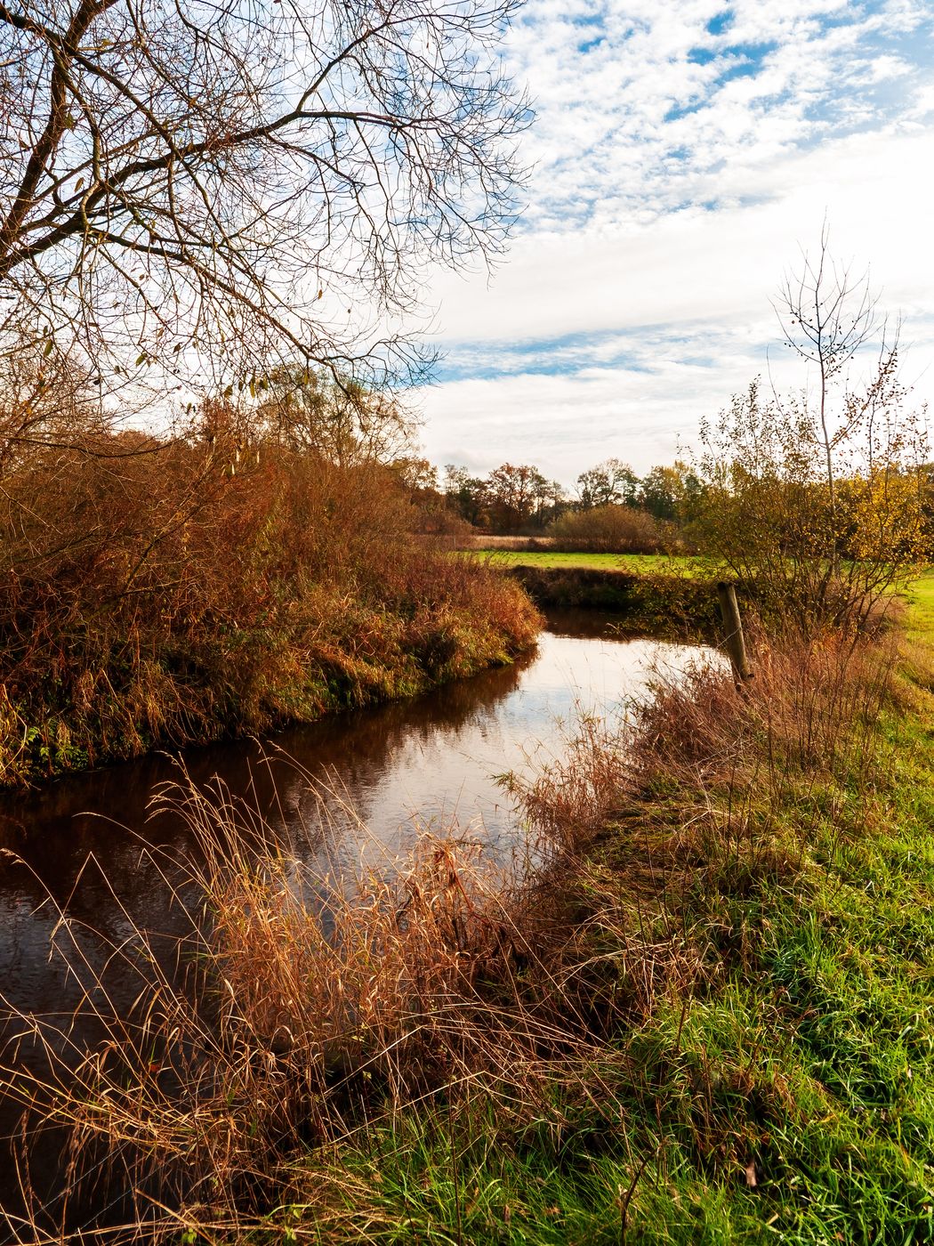 The Wümme near Lauenbrück, Niedersachsen (Lower Saxony), Germany, Germany