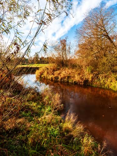 The Wümme near Lauenbrück, Niedersachsen (Lower Saxony), Germany
