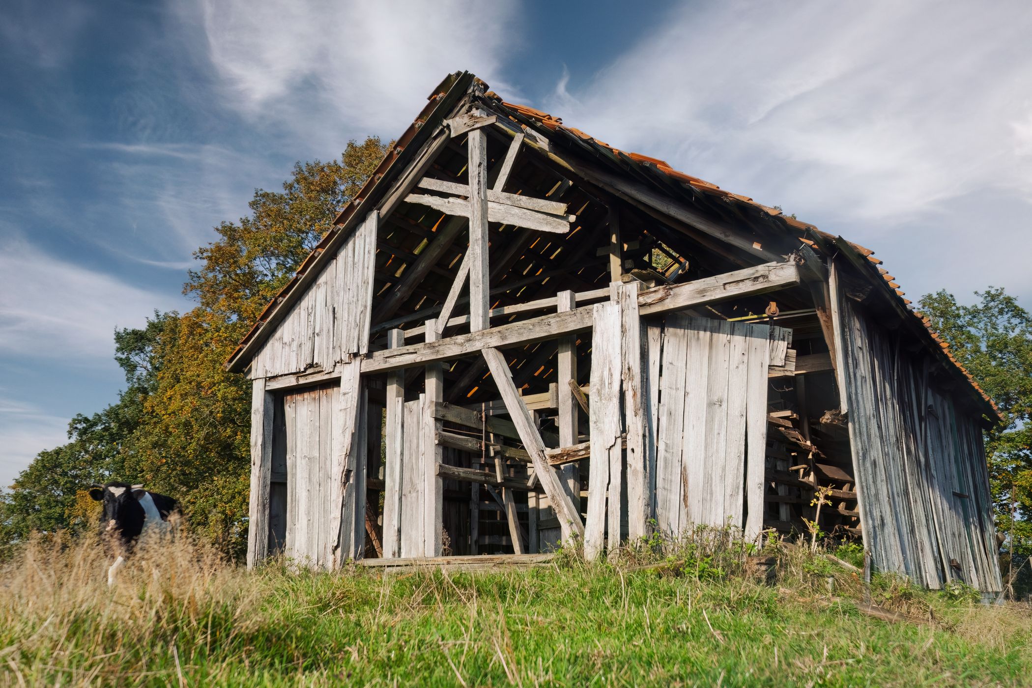 Abondonned Barn, Germany