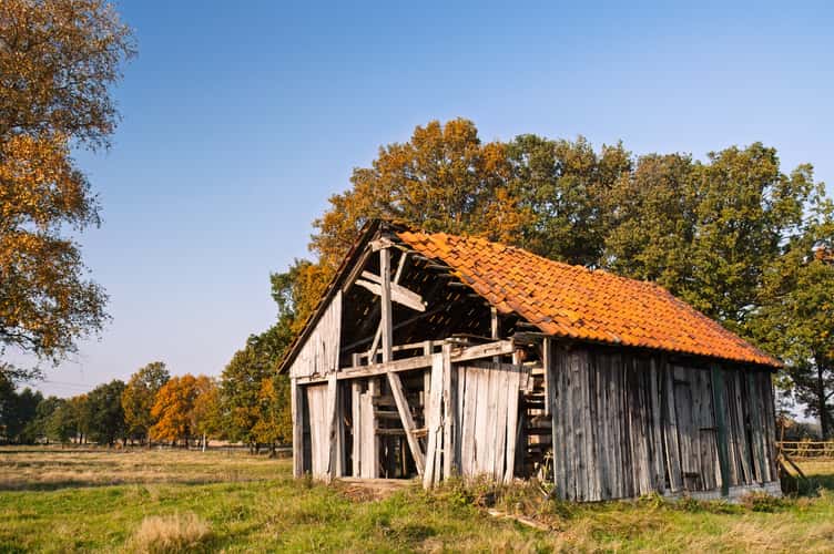 Abondonned Barn