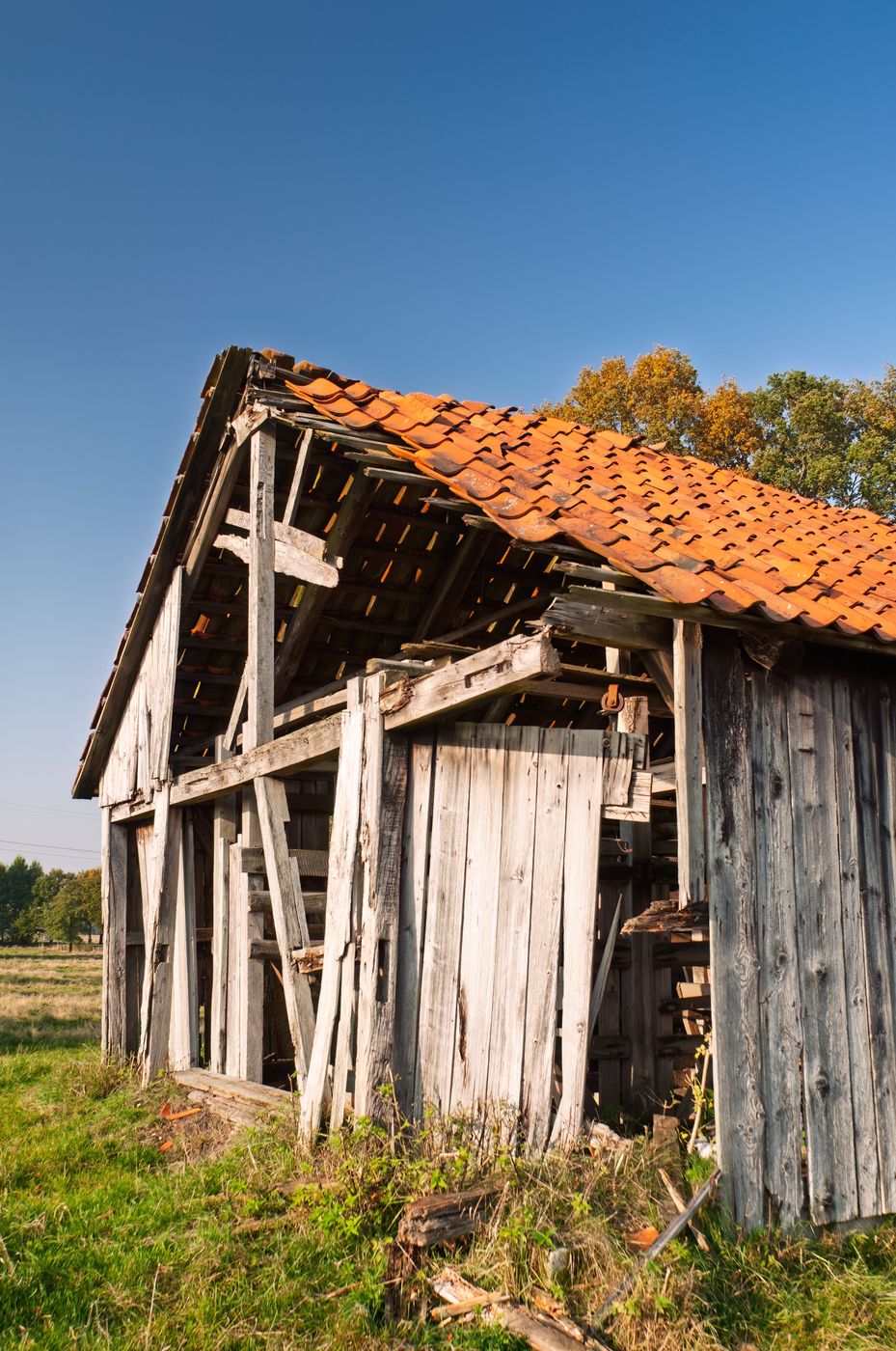 Abondonned Barn, Germany