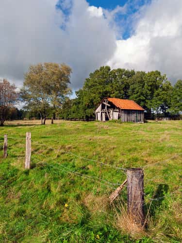 Abondonned Barn